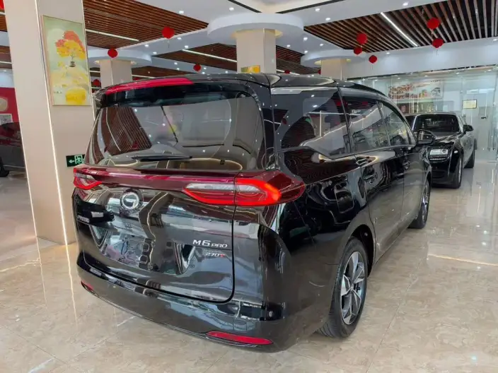 GAC Trumpchi M6 2023 Model PRO 270T WDCT Deluxe Edition – фото 6