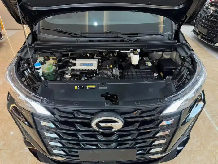 GAC Trumpchi M6 2023 Model PRO 270T WDCT Deluxe Edition – фото 7