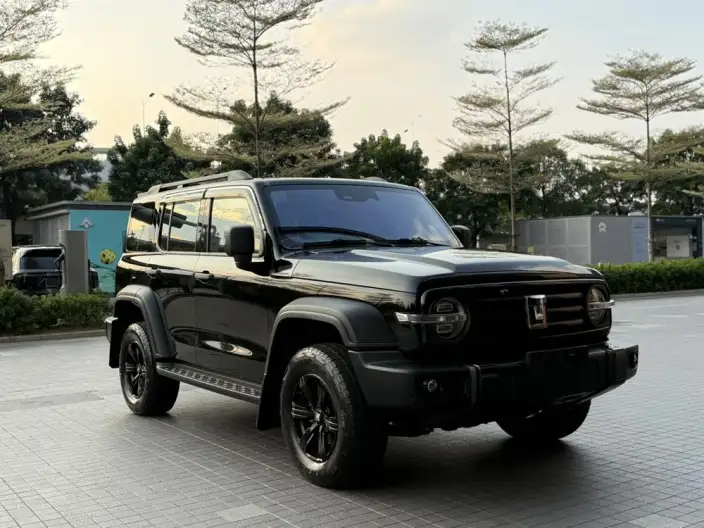 Tank 300 2024 Model 2.0T Challenger