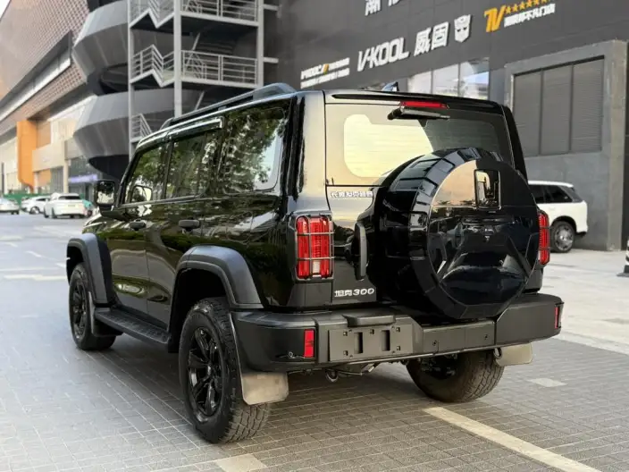 Tank 300 2024 Model 2.0T Challenger – фото 5