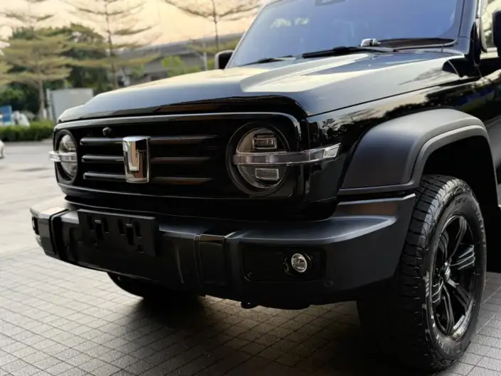 Tank 300 2024 Model 2.0T Challenger – фото 8