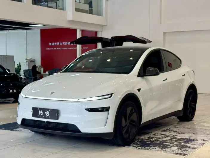Model Y 2026 Model Long Battery Life Pro Rear-wheel drive version – фото 1