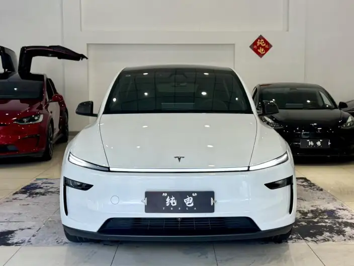 Model Y 2026 Model Long Battery Life Pro Rear-wheel drive version – фото 2
