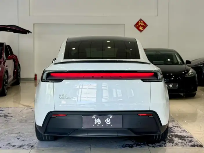 Model Y 2026 Model Long Battery Life Pro Rear-wheel drive version – фото 6
