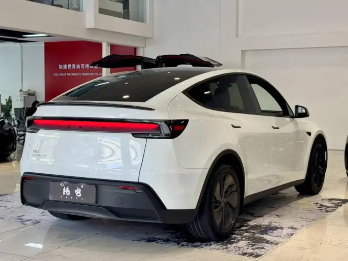 Model Y 2026 Model Long Battery Life Pro Rear-wheel drive version – фото 7