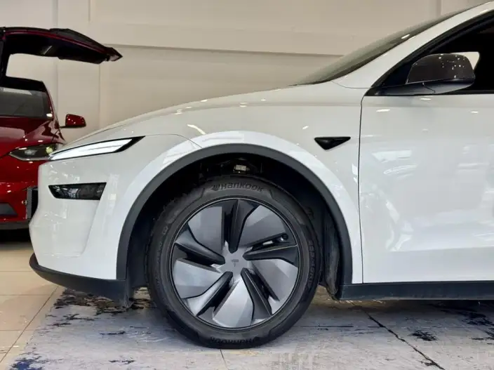 Model Y 2026 Model Long Battery Life Pro Rear-wheel drive version – фото 8