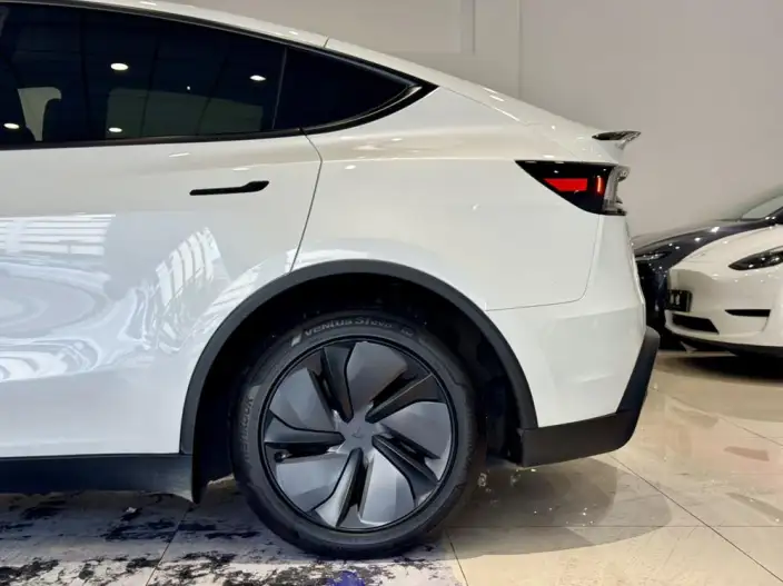 Model Y 2026 Model Long Battery Life Pro Rear-wheel drive version – фото 9