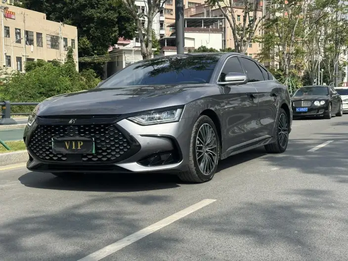 BYD Han DM 2023 Model DM-i Champion Edition 121KM Exclusive Model – фото 1