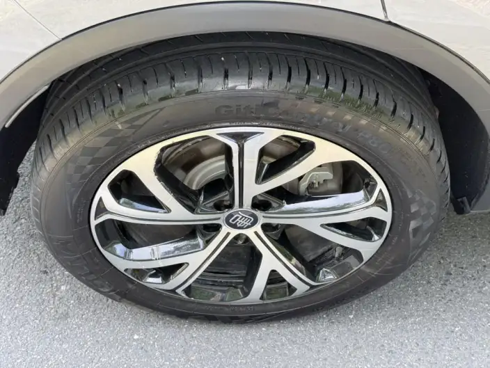 BYD Tang DM 2025 Model Smart Driving Edition DM-i 115KM Zunrong Model – фото 9