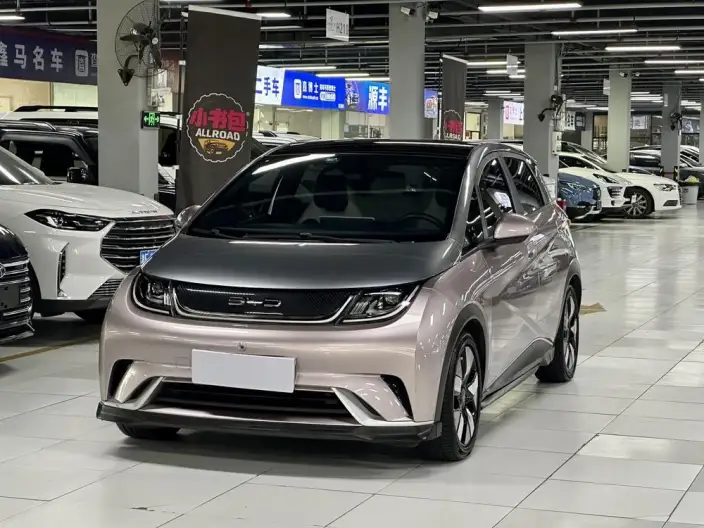 BYD Dolphin 2021 Model Knight Edition – фото 1