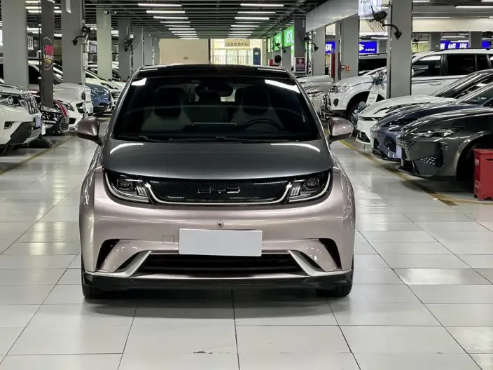 BYD Dolphin 2021 Model Knight Edition – фото 2