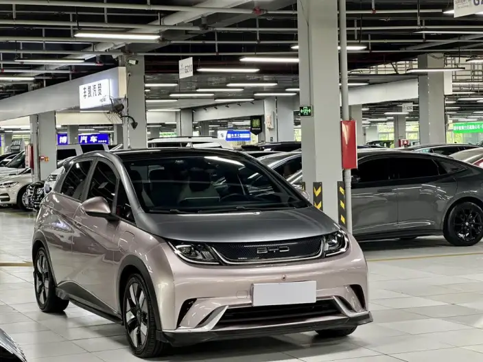 BYD Dolphin 2021 Model Knight Edition – фото 3