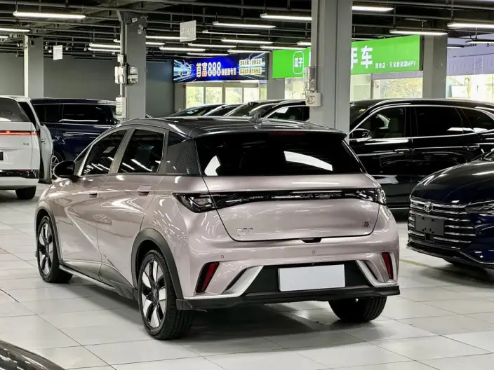 BYD Dolphin 2021 Model Knight Edition – фото 4