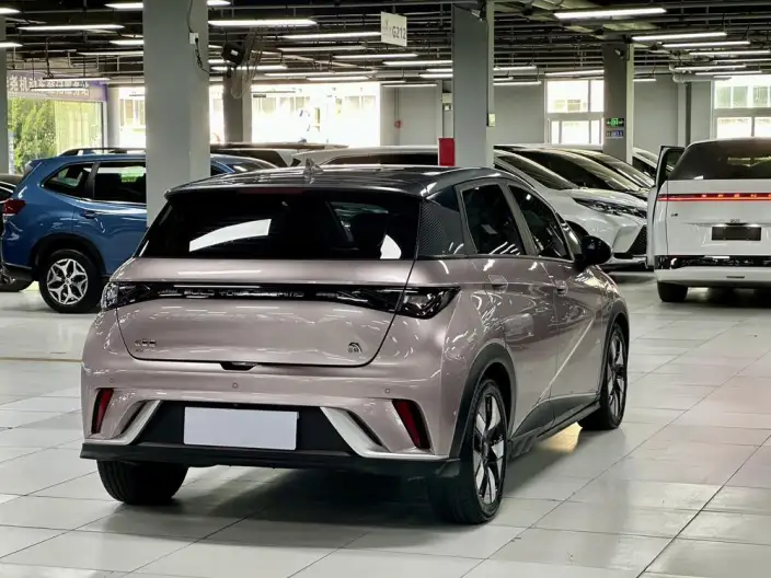 BYD Dolphin 2021 Model Knight Edition – фото 6