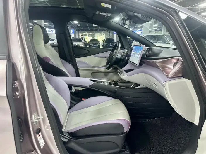 BYD Dolphin 2021 Model Knight Edition – фото 7