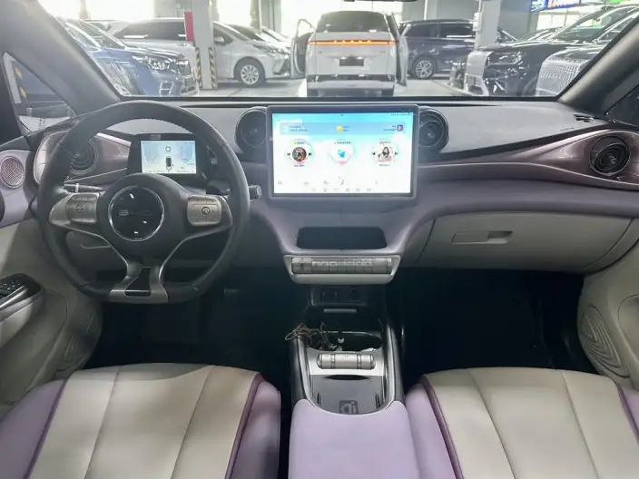 BYD Dolphin 2021 Model Knight Edition – фото 8
