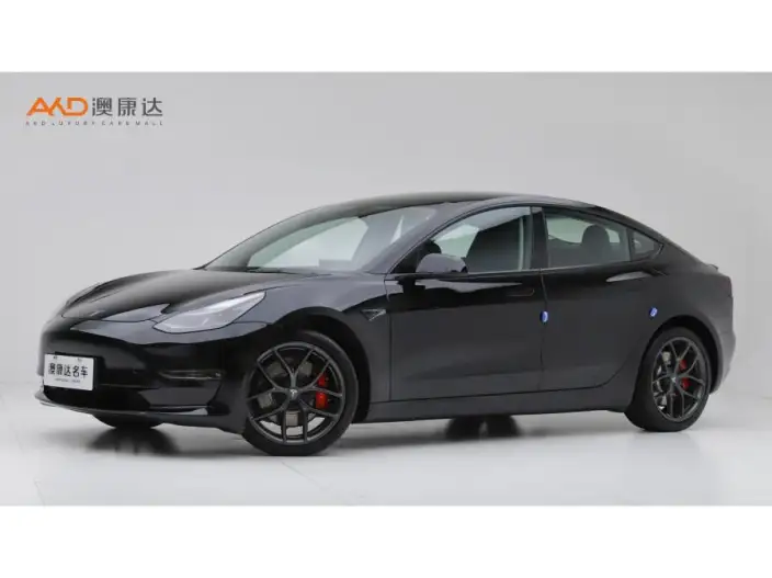 Model 3 2022 Model Performance High performance All-wheel drive version – фото 1