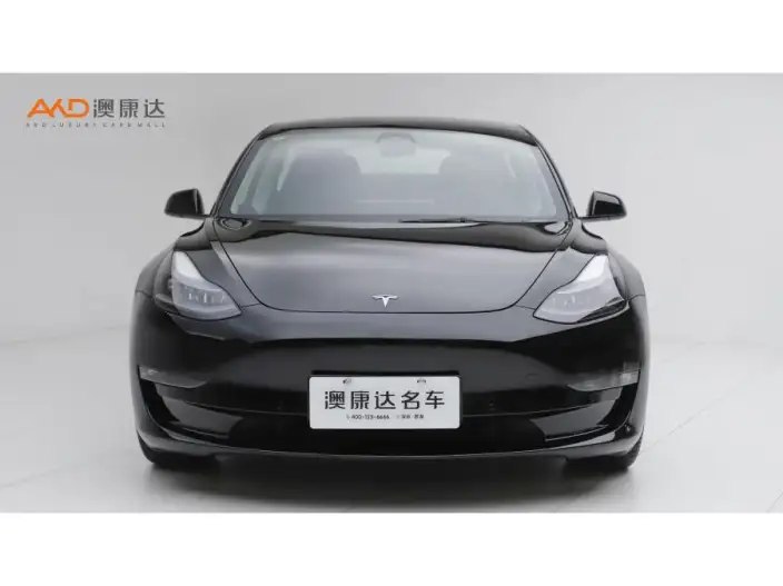 Model 3 2022 Model Performance High performance All-wheel drive version – фото 2