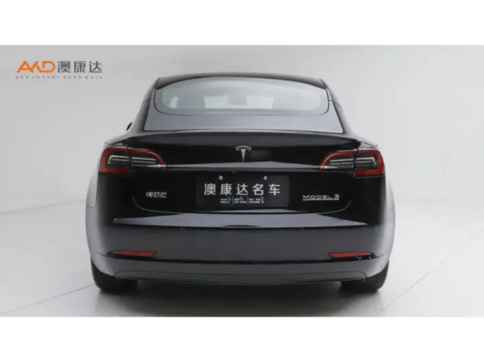 Model 3 2022 Model Performance High performance All-wheel drive version – фото 3