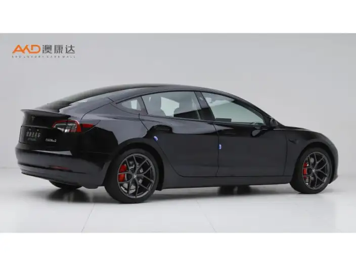 Model 3 2022 Model Performance High performance All-wheel drive version – фото 4