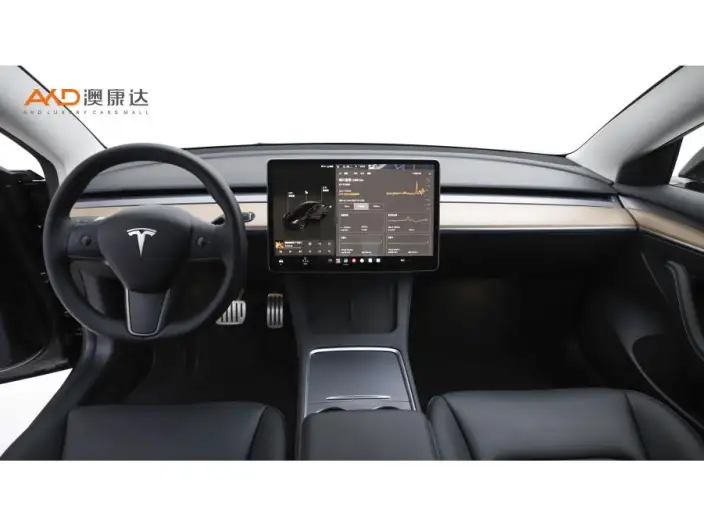 Model 3 2022 Model Performance High performance All-wheel drive version – фото 7