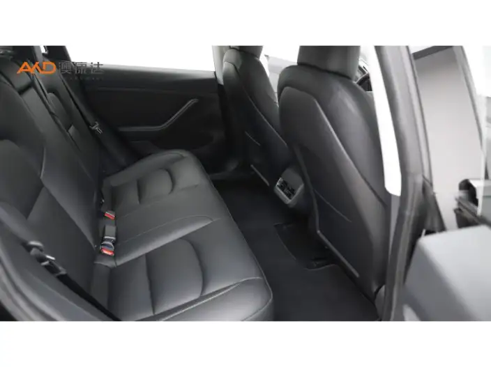 Model 3 2022 Model Performance High performance All-wheel drive version – фото 8