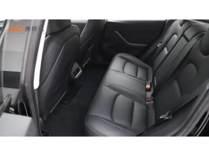 Model 3 2022 Model Performance High performance All-wheel drive version – фото 9