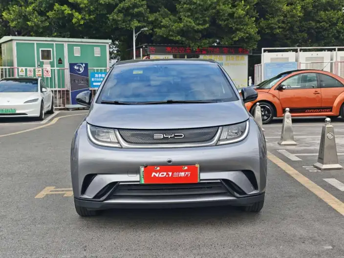 BYD Dolphin 2023 Model Free Edition – фото 2