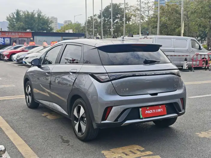 BYD Dolphin 2023 Model Free Edition – фото 4