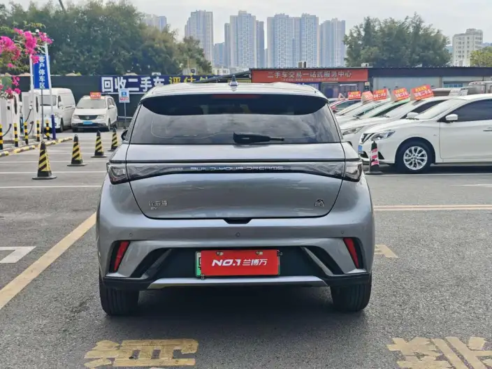 BYD Dolphin 2023 Model Free Edition – фото 5