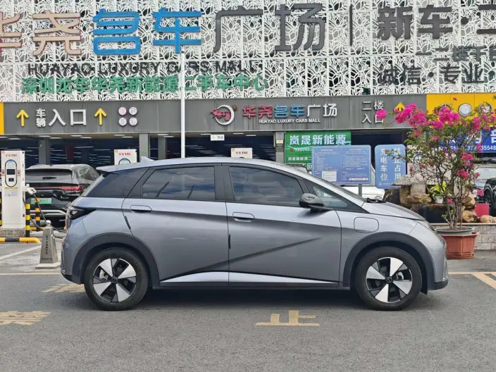 BYD Dolphin 2023 Model Free Edition – фото 7