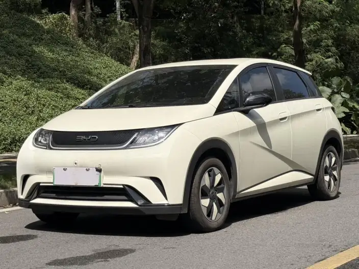 BYD Dolphin 2025 Model 420KM Free Edition – фото 1