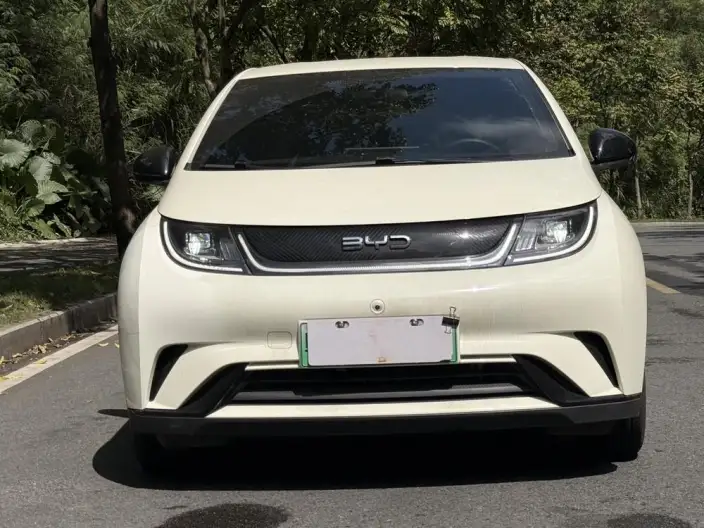 BYD Dolphin 2025 Model 420KM Free Edition – фото 2