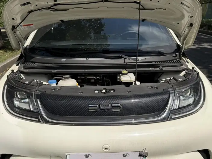 BYD Dolphin 2025 Model 420KM Free Edition – фото 5