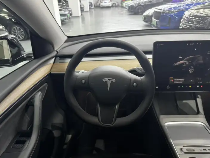 Model Y 2022 Model Facelift Rear-wheel drive version – фото 8