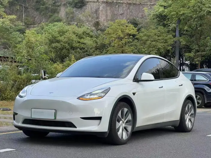 Model Y 2022 Model Facelift Rear-wheel drive version – фото 1