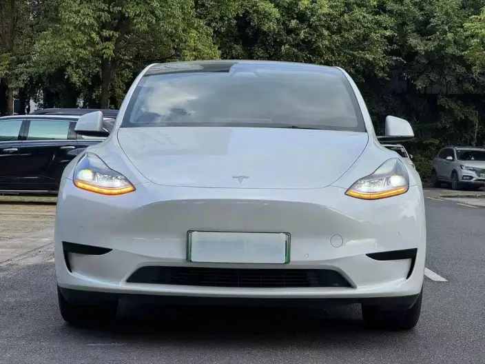 Model Y 2022 Model Facelift Rear-wheel drive version – фото 2