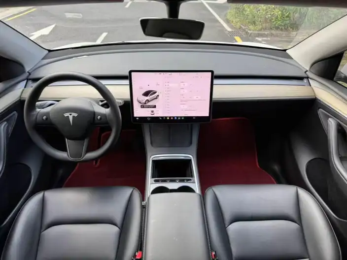 Model Y 2022 Model Facelift Rear-wheel drive version – фото 10