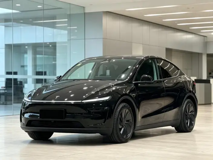 Model Y 2025 Model Rear-wheel drive version – фото 1