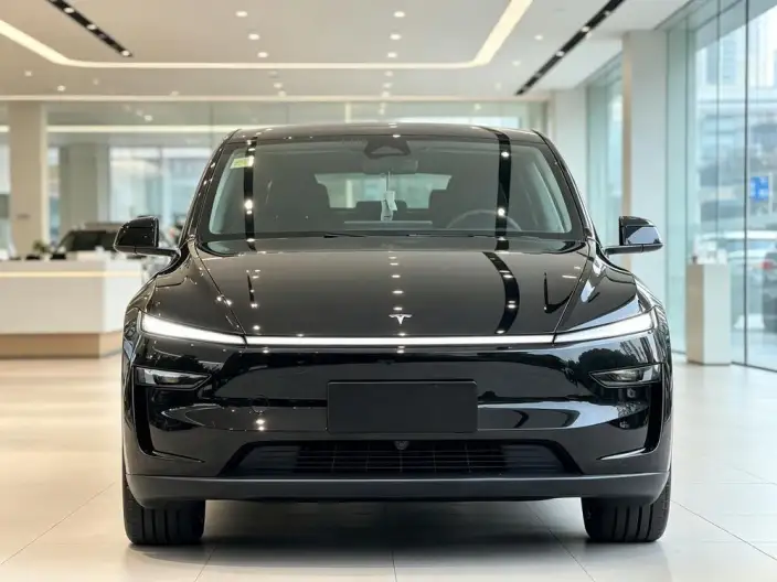 Model Y 2025 Model Rear-wheel drive version – фото 2