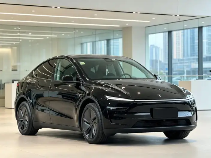 Model Y 2025 Model Rear-wheel drive version – фото 3