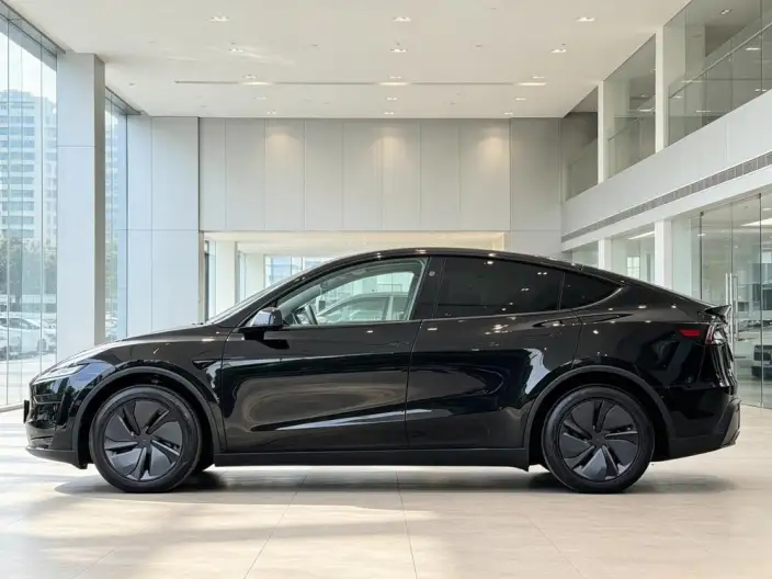 Model Y 2025 Model Rear-wheel drive version – фото 4