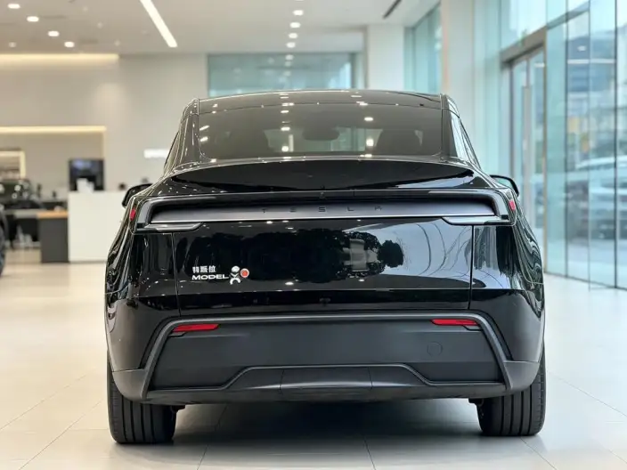 Model Y 2025 Model Rear-wheel drive version – фото 6