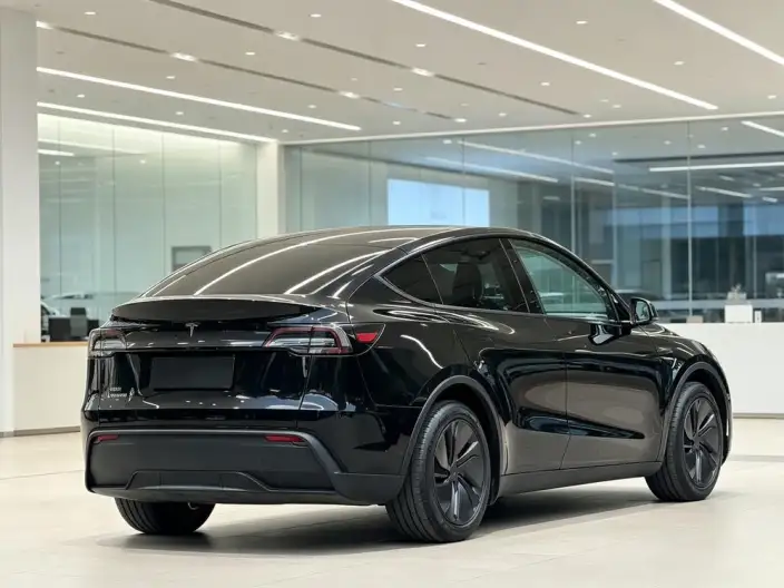 Model Y 2025 Model Rear-wheel drive version – фото 7