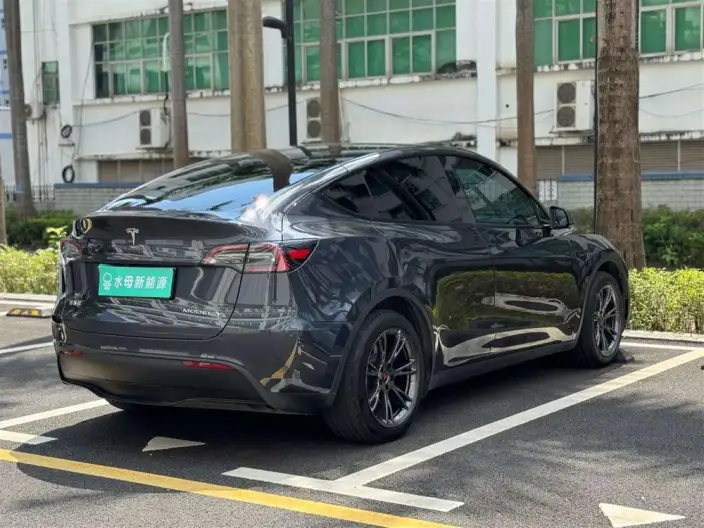Model Y 2024 Model Rear-wheel drive version – фото 6