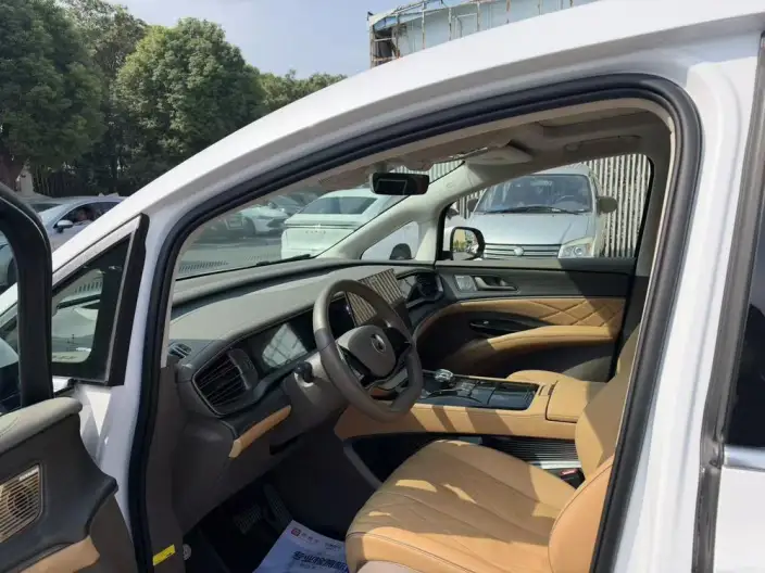 Denza D9 EV 2022 Model 600 4WD Flagship Model – фото 8