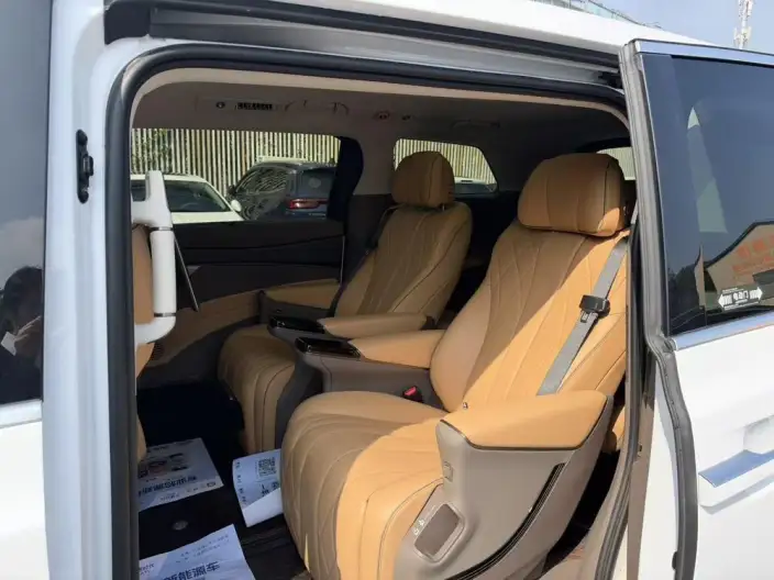 Denza D9 EV 2022 Model 600 4WD Flagship Model – фото 9