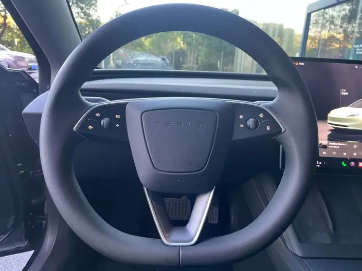 Model 3 2025 Model Rear-wheel drive version – фото 10