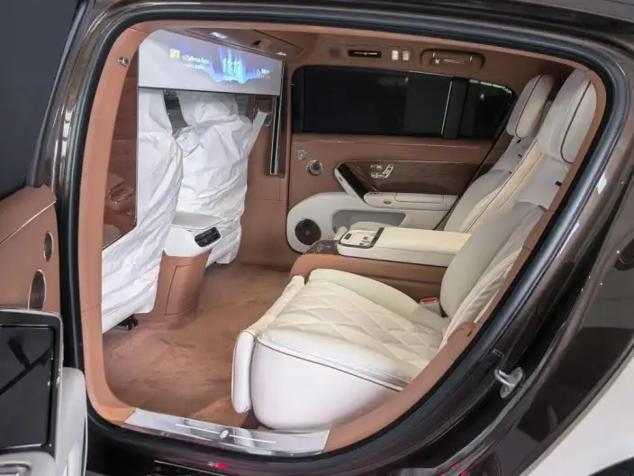 Zunjie S800 2026 Model Extended Range Star Edition Executive Edition 4 seat – фото 9