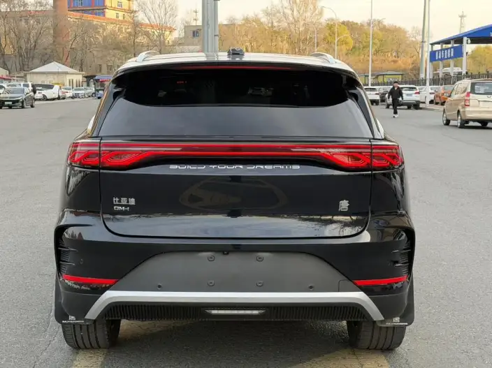 BYD Tang DM 2024 Model Honor Edition DM-i 112KM Noble Model – фото 5